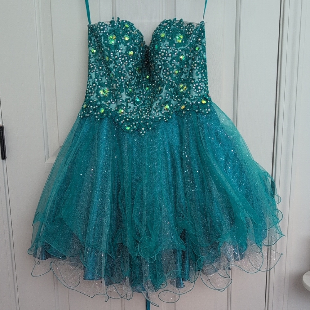 Sequin Embellished A-line Prom or Party Dress Worn Once